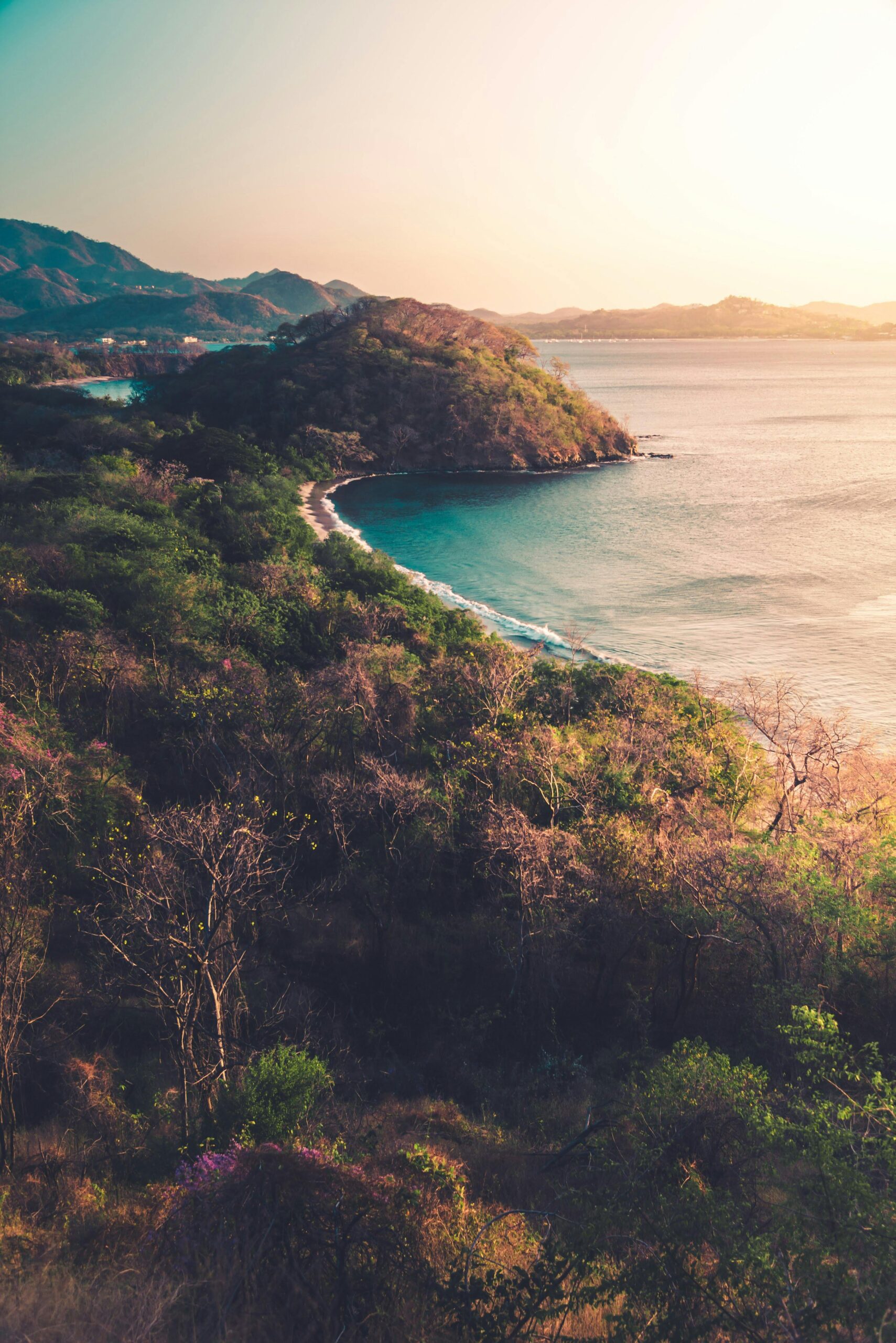 The Best Time to Visit Costa Rica With Family: A Complete Guide for an Unforgettable Adventure
