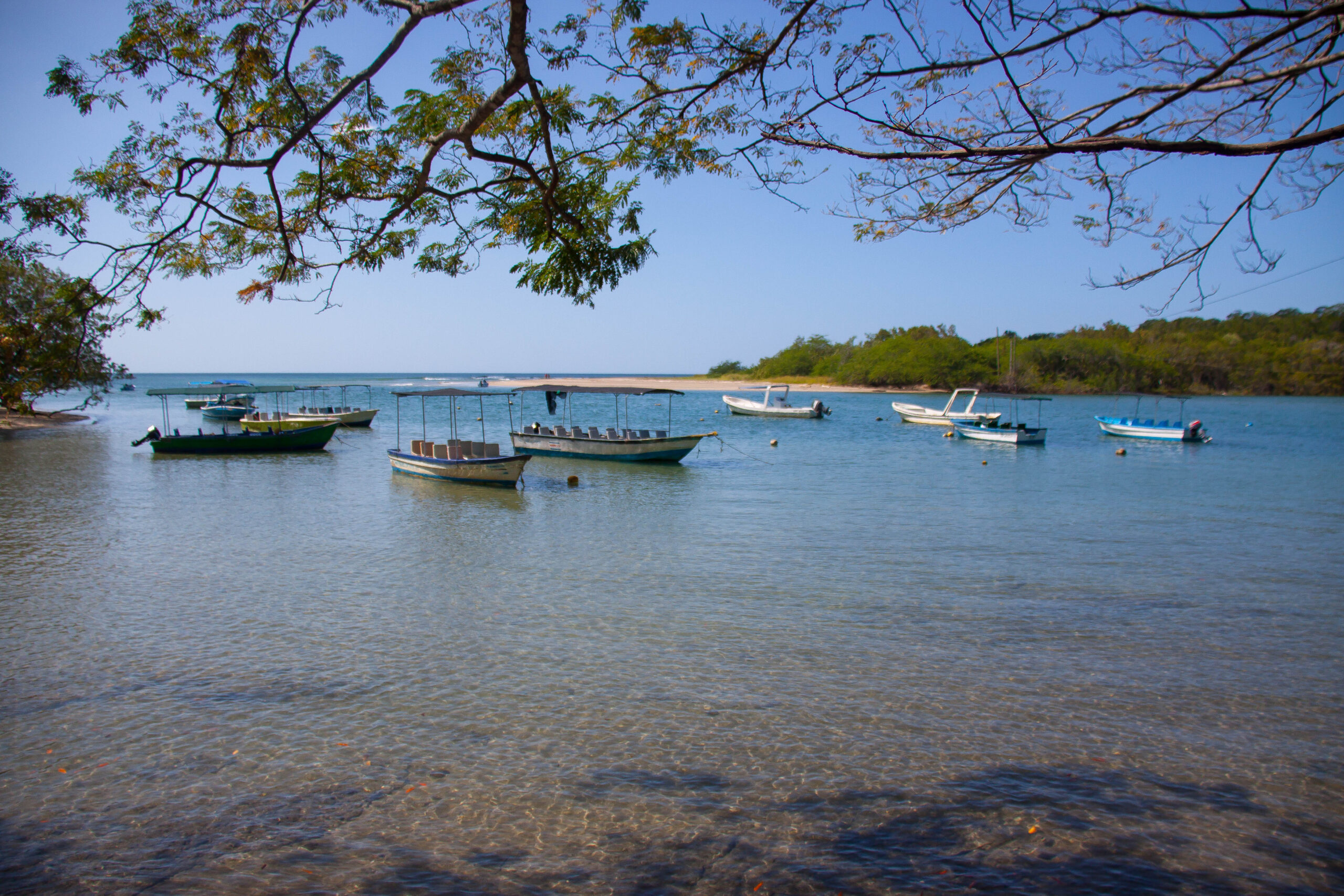 costa rica romantic cruise