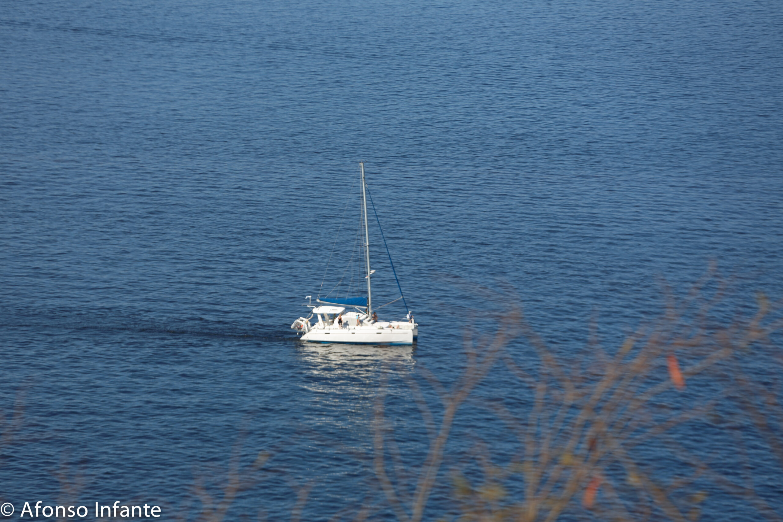costa rica sunset romantic sunset cruises