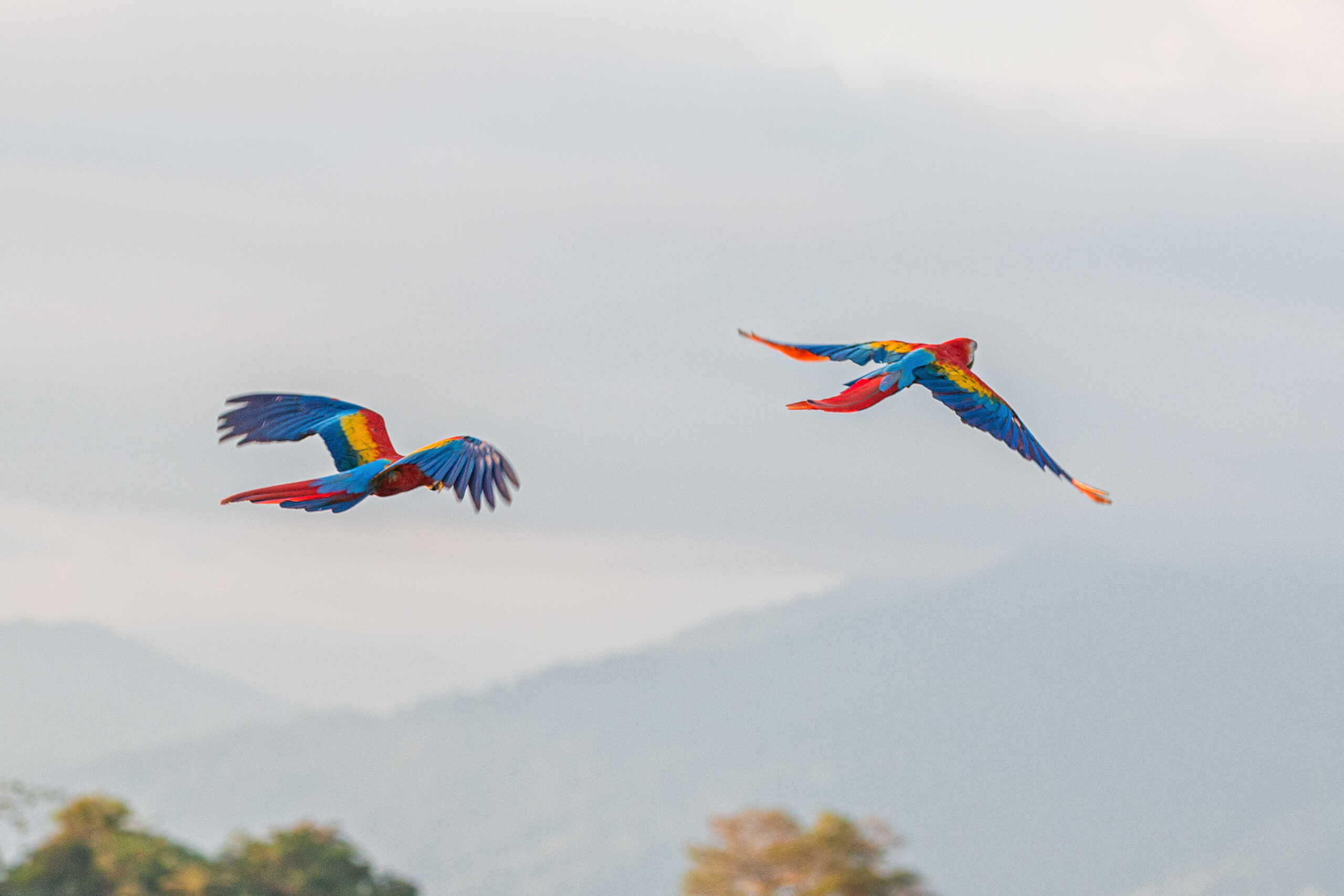 best beachfront vacation spots costa rica